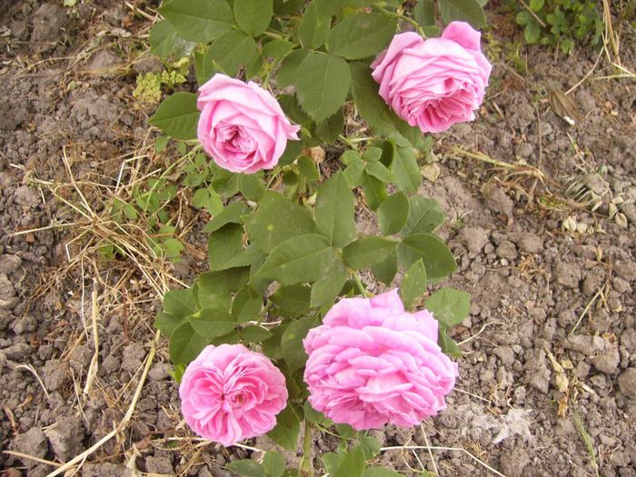 P1190440