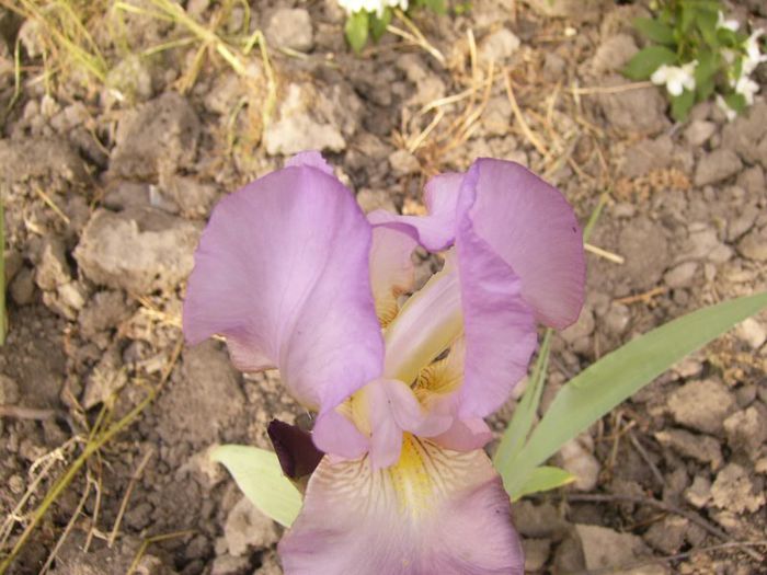 P1190472
