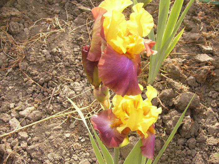 P1190477