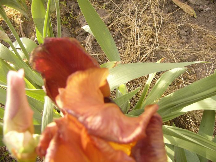 P1190483