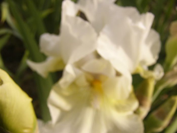 P1190488