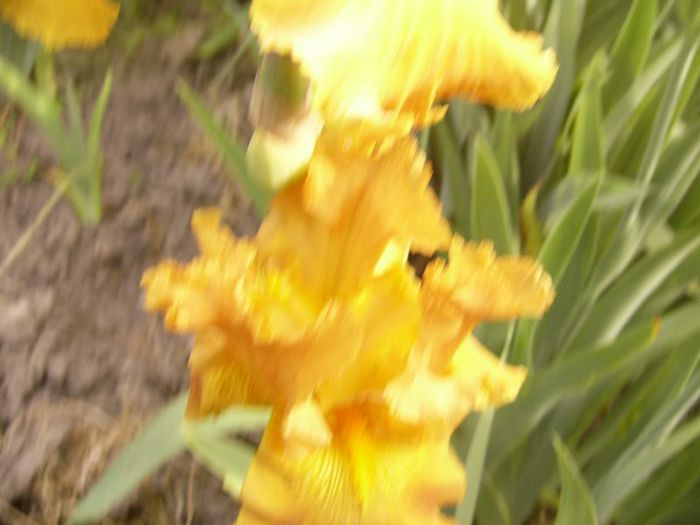 P1190494