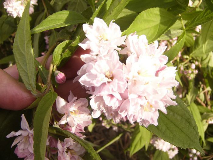 P1190555