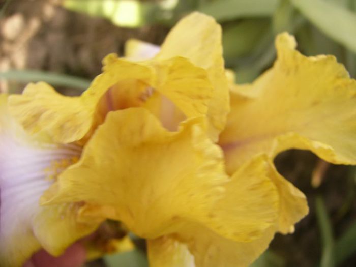 P1190574