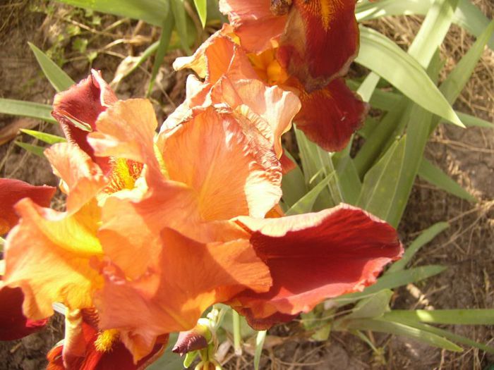 P1190580