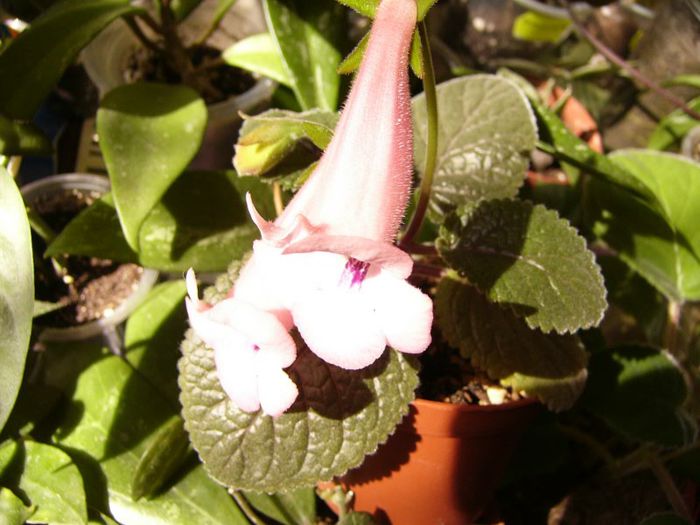 P1190703