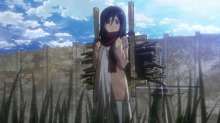 mikasa - Shingeki No Kyojin