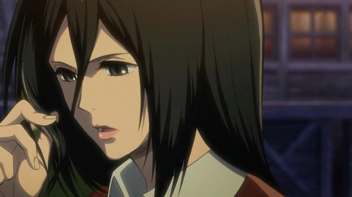 mikasa 9