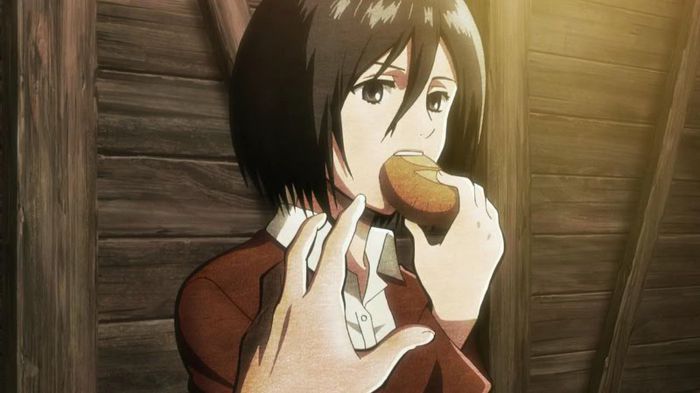 mikasa 11
