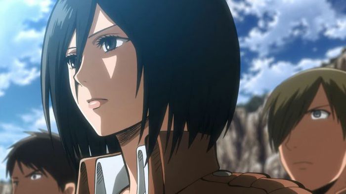 mikasa 12