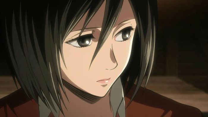 mikasa 14