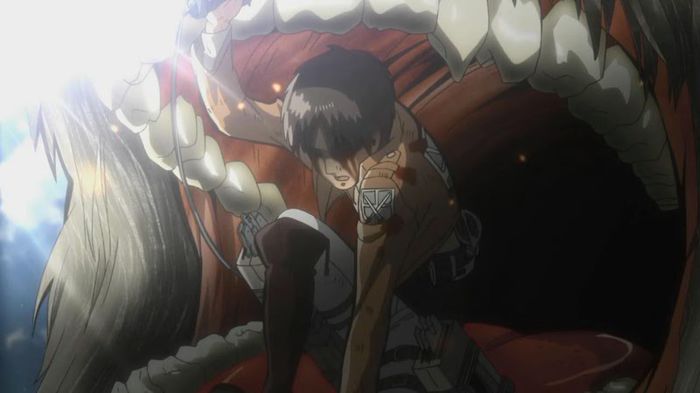 eren 36