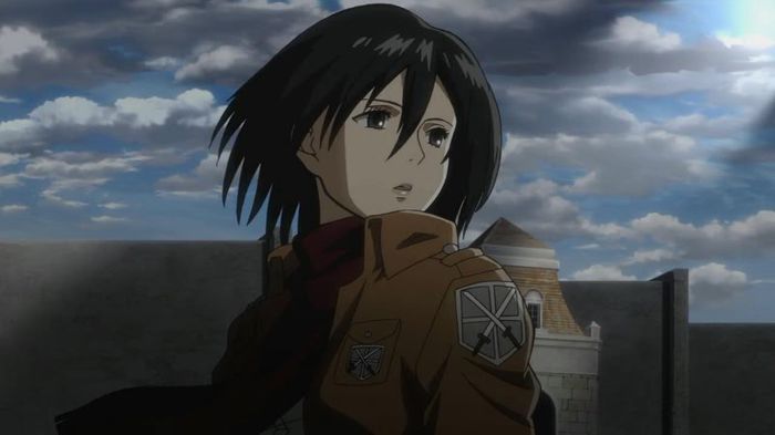 mikasa 15