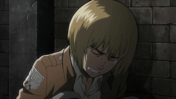 armin 9