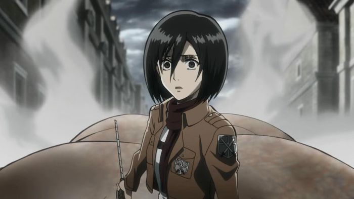 mikasa 16