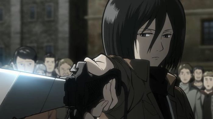 mikasa 17