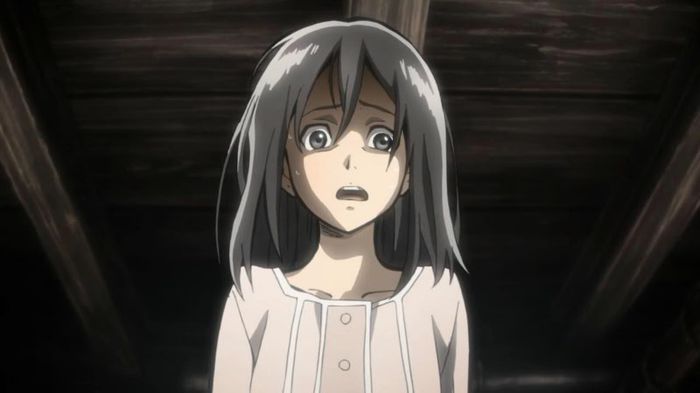 mikasa 19