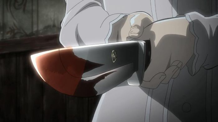 mikasa 20