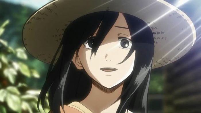 mikasa 21