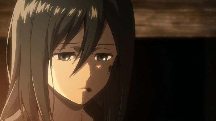 mikasa 23 - Shingeki No Kyojin