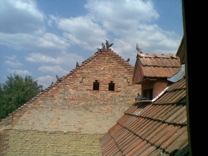 06082013(017) - Voiajori
