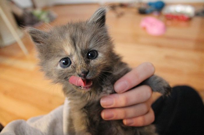 　　　　@ANDRA ↘ is my friend ↙