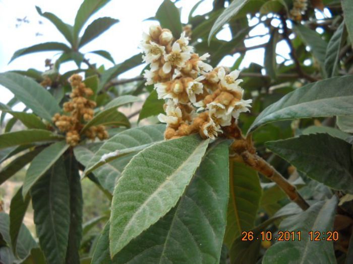 stefania poze si filmari 712