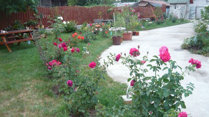 Picture 638 - Mirajul verii