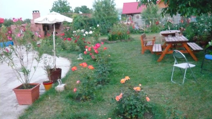 Picture 844 - Mirajul verii