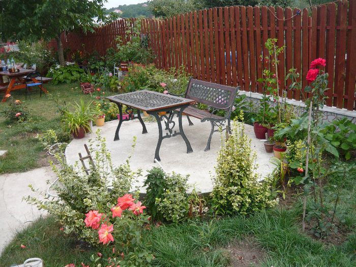 Picture 982 - Mirajul verii