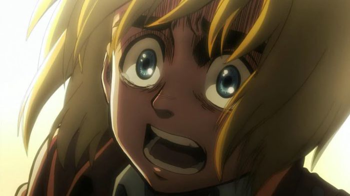 armin 14