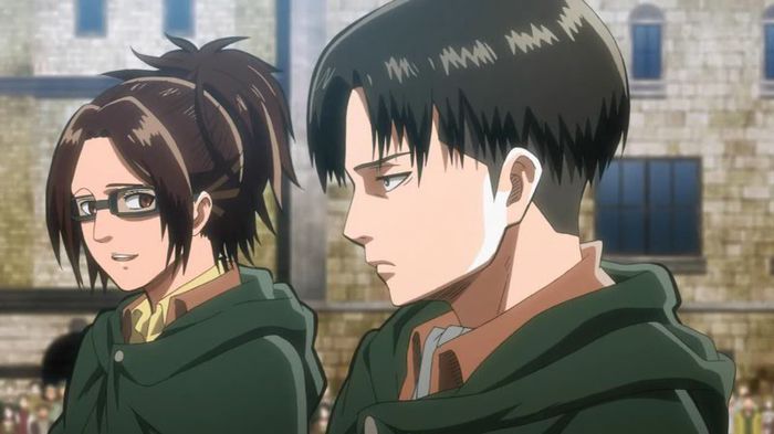 levi