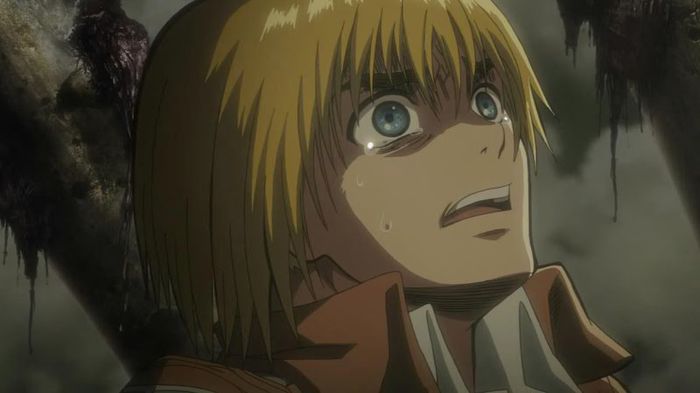 armin 15