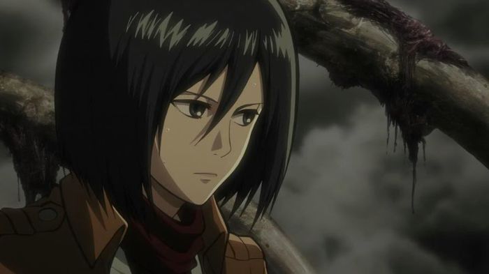 mikasa 38