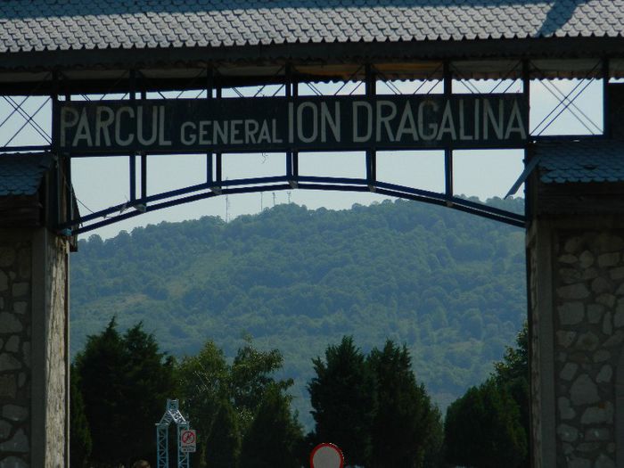 DSCN7680 - 7 HERCULANE VACANTA DE VIS 2013