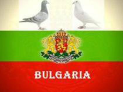 BULGARIA - BULGARIA