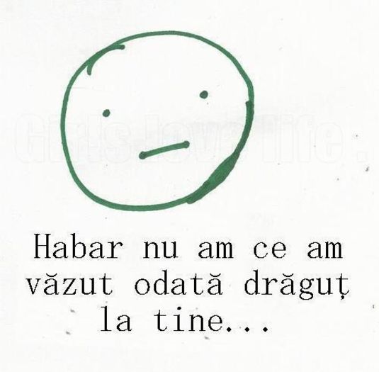 267912_498756156855946_873857296_n