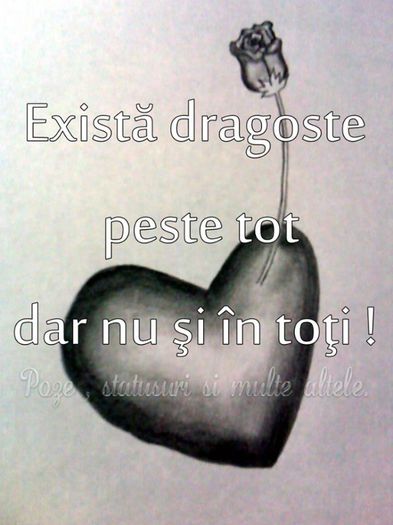 968862_699773056714985_349407870_n