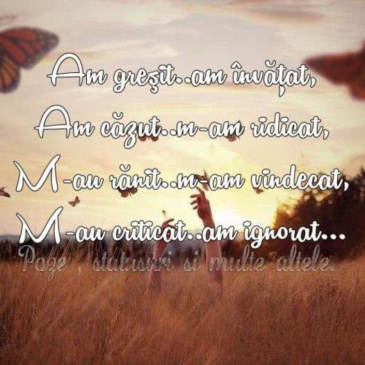 972065_697601943598763_242460409_n