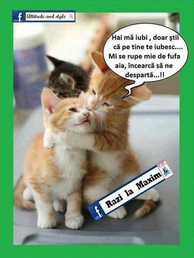 1005768_194319920737208_889560849_n