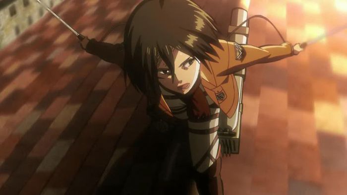mikasa 45