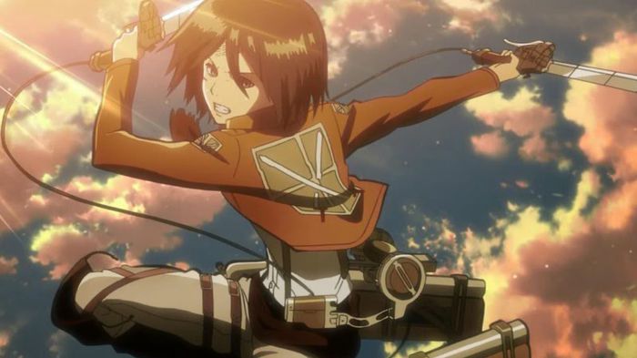 mikasa 46