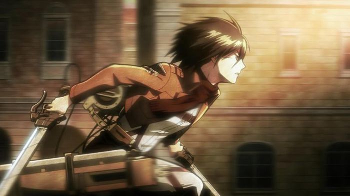 mikasa 47