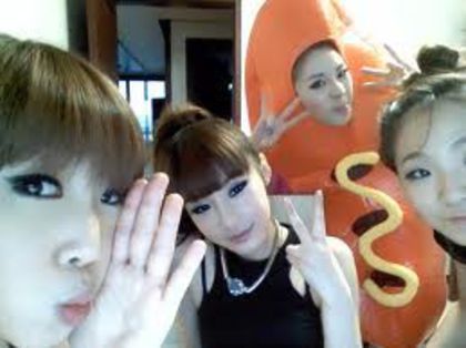 30 - 2NE1 funny moments