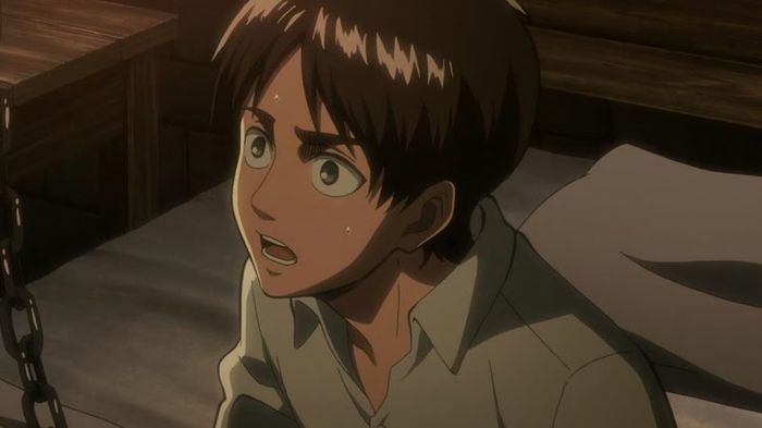 eren 56