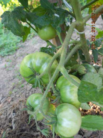 DSCN0036