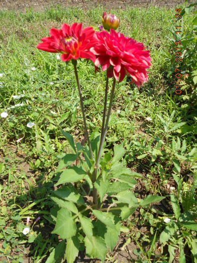 DSCN9402