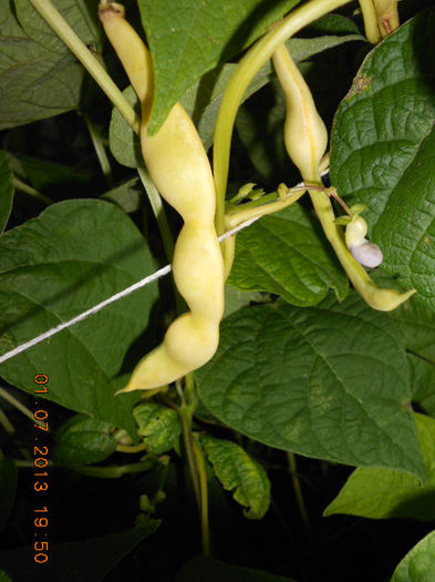 DSCN9502
