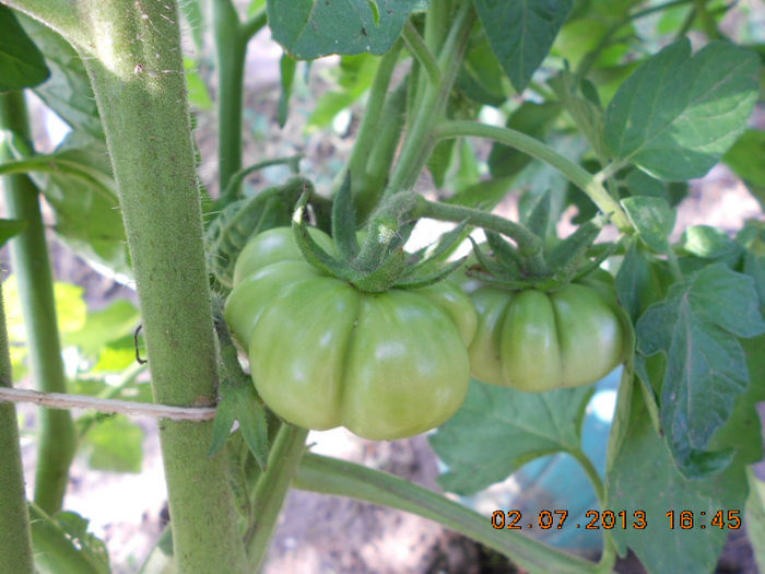 DSCN9527