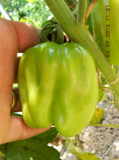 DSCN9665